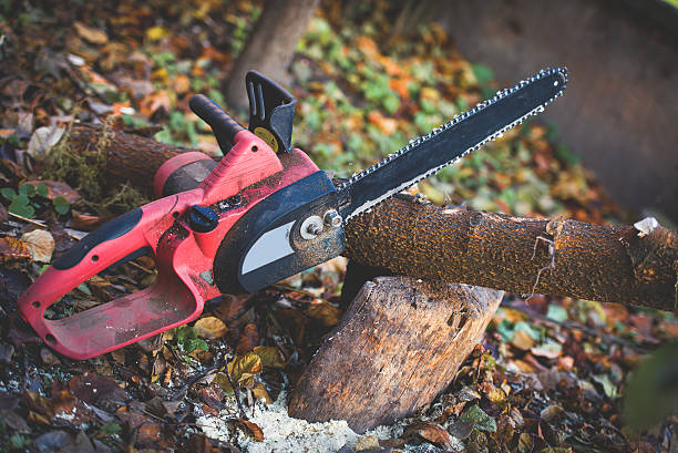 Mulching Services in Rosendale, WI
